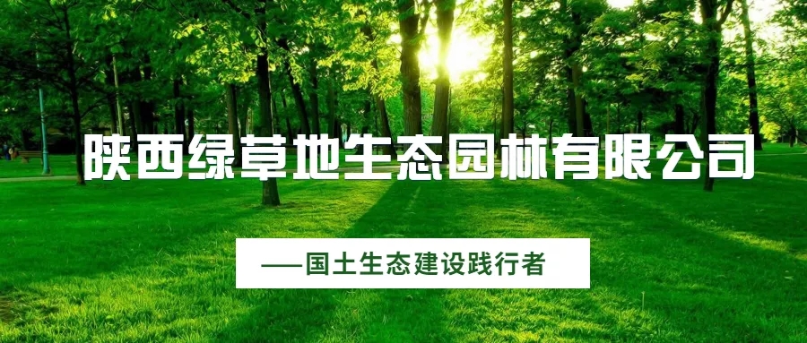 未来十五年,保护修复生态这样干(图1) 23-200FQ10001Z5.jpg