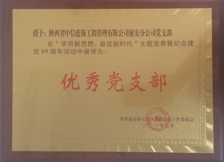 【红领·青春党建】青春跟党走，创业我成长丨中信蓝海企业集团“七一”主题党日系列活动(图30)